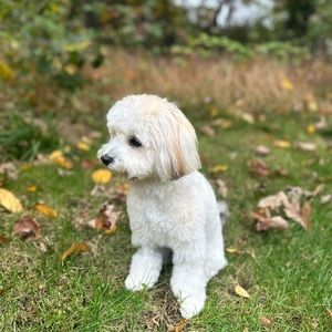 Meet your Posher, Becky